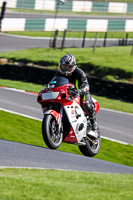 cadwell-no-limits-trackday;cadwell-park;cadwell-park-photographs;cadwell-trackday-photographs;enduro-digital-images;event-digital-images;eventdigitalimages;no-limits-trackdays;peter-wileman-photography;racing-digital-images;trackday-digital-images;trackday-photos